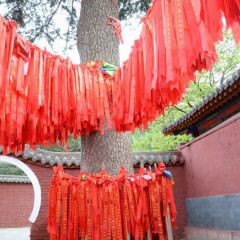 景点模块 