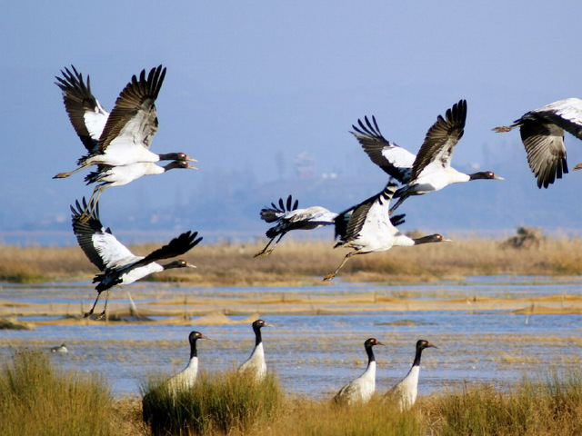 http:\/\/www.tuniu.com\/tour\/210480084