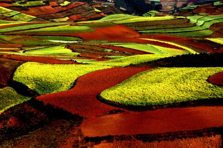 <云南昆明-东川红土地1日当地游>2成人起订，遗失在人间的调色盘，私家摄影一单一团，拍摄日出日落，贴心安排随车水果，体验大自然独特魅力