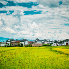 小交通模块 