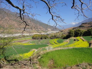 旅游團(tuán)云南大理麗江_旅游去云南大理麗江_云南大理麗江旅游團(tuán)報(bào)價(jià)