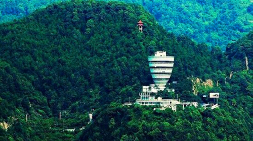 一棵树观景台
