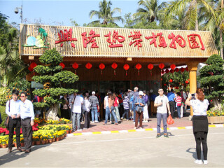 海南旅游多少钱一个人_海南8日旅游团_去海南跟团游报价