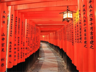 北海道十日旅游价格_期间北海道旅游跟团_北海道6天5晚跟团游