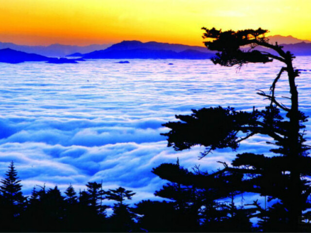 峨眉山a股票_峨眉山a_峨眉山a 000888 - 宝乐资讯网