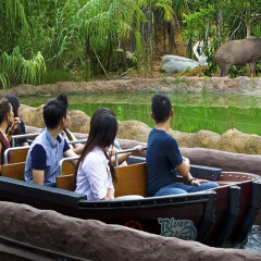 景点模块 