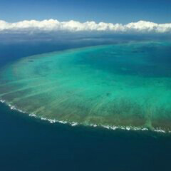 凯恩斯大堡礁 景点模块