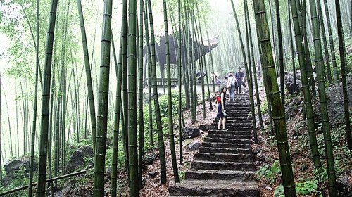  安吉-中国大竹海-大溪皮划艇漂流-赠送长谷洞同风景区自驾2日游>住