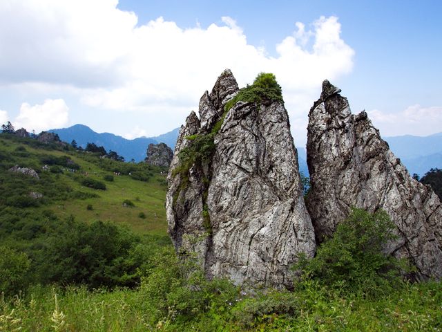 神农架保护区板壁岩景区