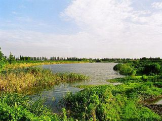 崇明西沙湿地-前卫村-东平公园2日游>宿农家,赠送1早1正