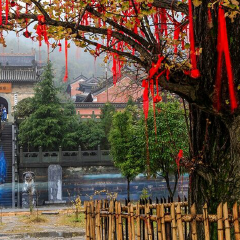 景点模块 