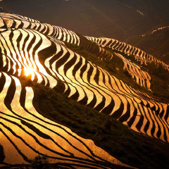 景点模块 