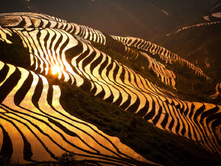 到桂林陽(yáng)朔旅游報(bào)團(tuán)價(jià)格_桂林陽(yáng)朔旅游要多少錢跟團(tuán)_桂林陽(yáng)朔旅游跟團(tuán)需多少錢