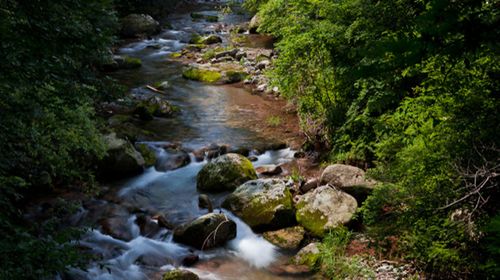 早沈阳出发赴本溪老边沟风景区--自由活动--下午返程 本溪老边沟风景