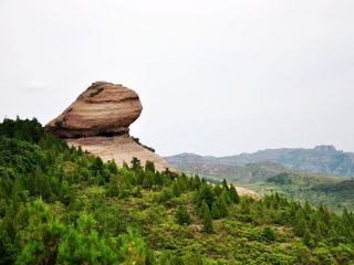 北京野生动物园  (2)  岭南印象园   自费早餐后乘车前往承德十大