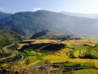 印度旅游跟團(tuán)需多少錢_印度雙人六日游多少錢_印度7日游多少錢