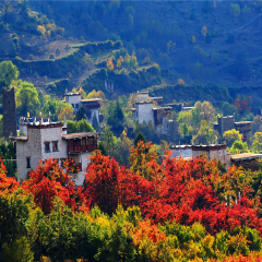 景点模块 