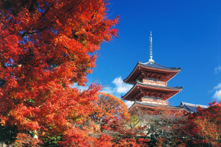 <日本6-7日游>重庆直飞大阪/A线邂逅关西和歌山、南纪白滨/B线趣游关西美山町、名古屋、神户港/C线环线轻井泽、长野