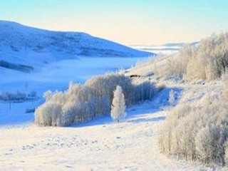 大兴安岭雪景