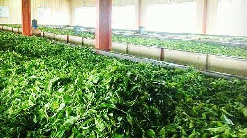 <斯里兰卡7日游>乌达瓦勒韦公园 海边火车 9月25日9399_北京出发_途牛