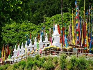 至九寨沟旅游_九寨沟跟团旅游团费_至九寨沟跟团旅游