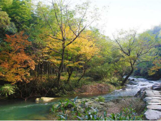  慈城-浙东小九寨-四明山芝林2日游>门票全含,特价仅11月15日