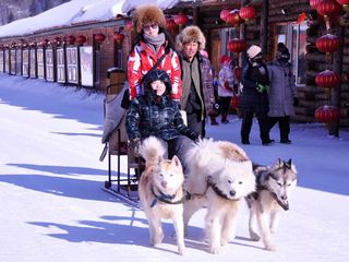 狗拉雪橇