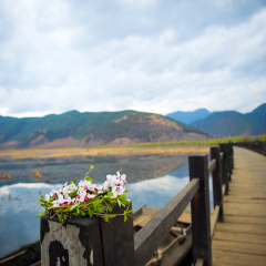 景点模块 