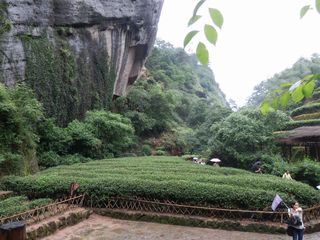  武夷山赏红叶-天游峰-虎啸岩-三清山4日游>特价线路