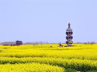 溱湖湿地-千垛赏油菜花含游船自驾2日游>宿准3星姜堰溱湖酒店