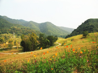 照金革命纪念馆-照金牧场1日游