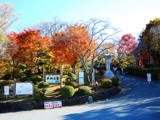 旅行团日本旅游_日本旅游不跟团_去日本7天游