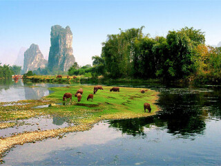 訾洲岛景区
