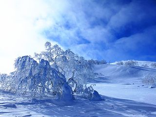 [春节] 哈尔滨-亚布力-雪乡6日游>攀登大秃顶子山(当地游)