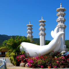 景点模块 