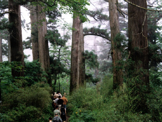  浙西天目山-天目源峡谷漂流2日游>浙西精华景点,门票全含