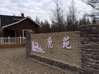  呼伦贝尔草原-满洲里-根河源国家湿地公园-室韦4日游