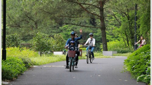 杭州西湖-千岛湖骑行-乌镇-西塘3日游上海出发 森林