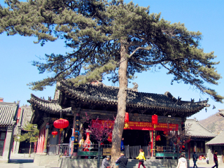 山西五臺山組團旅游_山西五臺山旅行團_去山西五臺山報團多少錢
