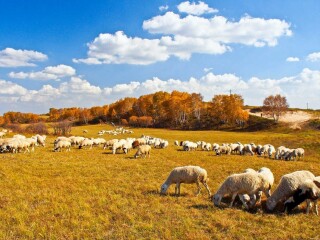 廣州北戴河旅游團(tuán)_北戴河旅游團(tuán)報(bào)價(jià)2021_北戴河自由行組團(tuán)