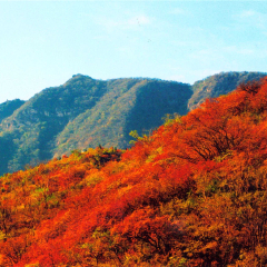 景点模块 