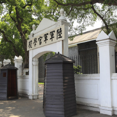 活动模块 