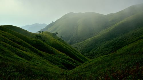  江西萍乡-龙山村-武功山火车4日游>穿越绿色天堂,看人间仙境