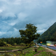 小交通模块 