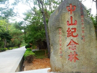 中山纪念林