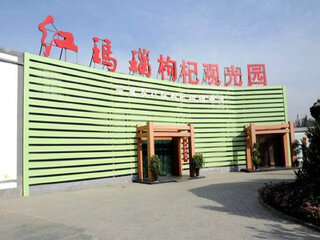 红玛瑙枸杞观光园