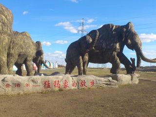 扎莱诺尔猛犸象旅游景区