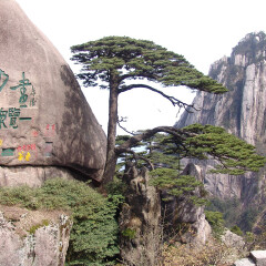 景点模块 