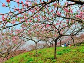 虎峰山桃花节1日游>红艳艳的桃花长廊