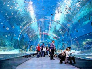  罗源湾海洋世界-海上搏斗亲子自驾2日游>宿罗源世纪金源双床房
